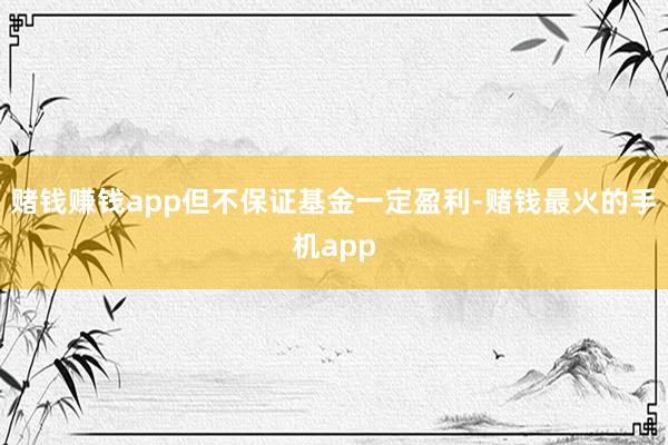 赌钱赚钱app但不保证基金一定盈利-赌钱最火的手机app