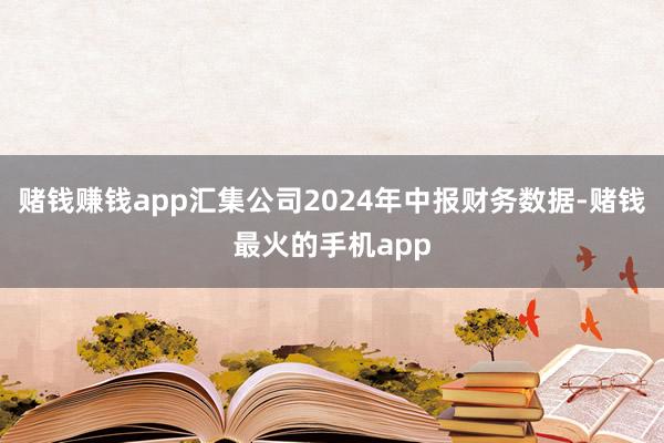 赌钱赚钱app汇集公司2024年中报财务数据-赌钱最火的手机app