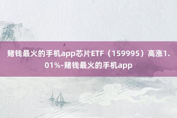 赌钱最火的手机app芯片ETF（159995）高涨1.01%-赌钱最火的手机app