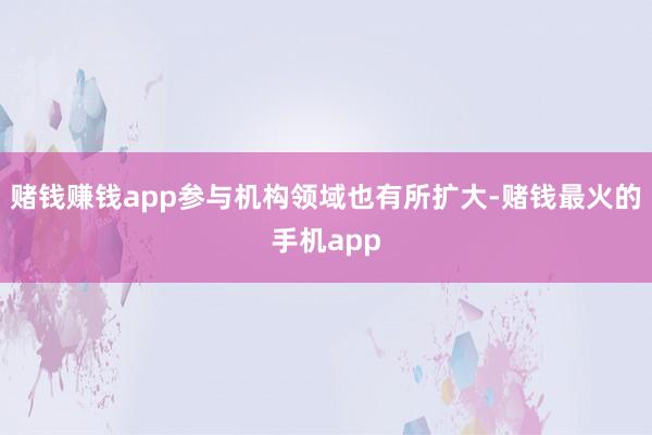 赌钱赚钱app参与机构领域也有所扩大-赌钱最火的手机app